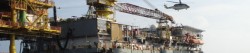 Sapura's capabilities