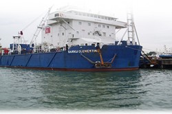 Sapura's assets sarku clementine