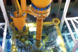 Sapura's asset
